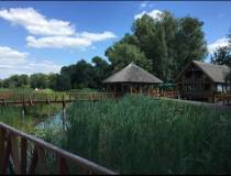 IMG 7746